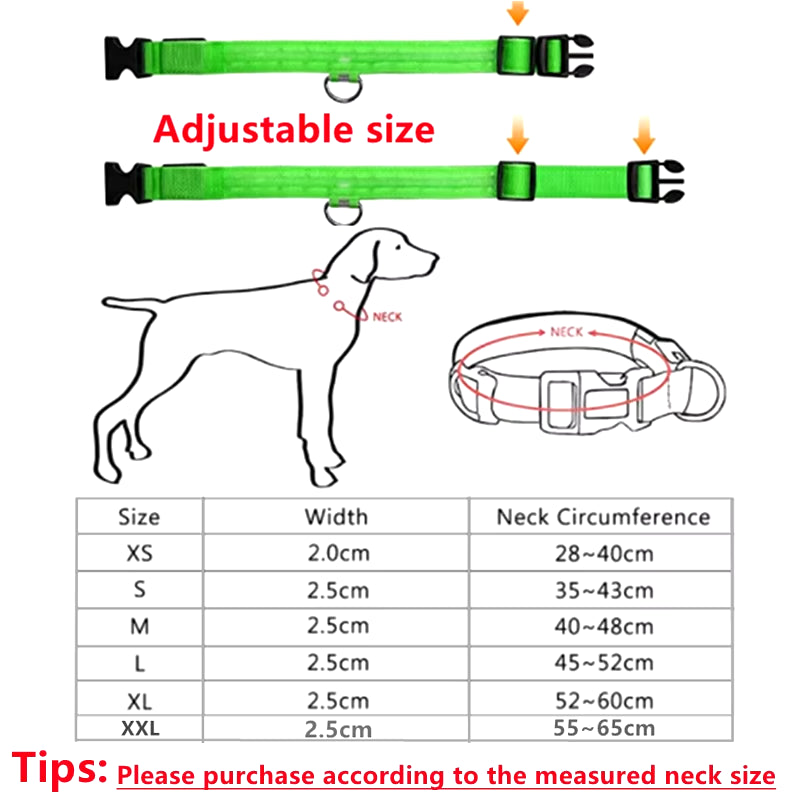 USB Rechargeable LED Glowing Pet Collar - Adjustable Luminous Safety Harness for Dogs and Cats