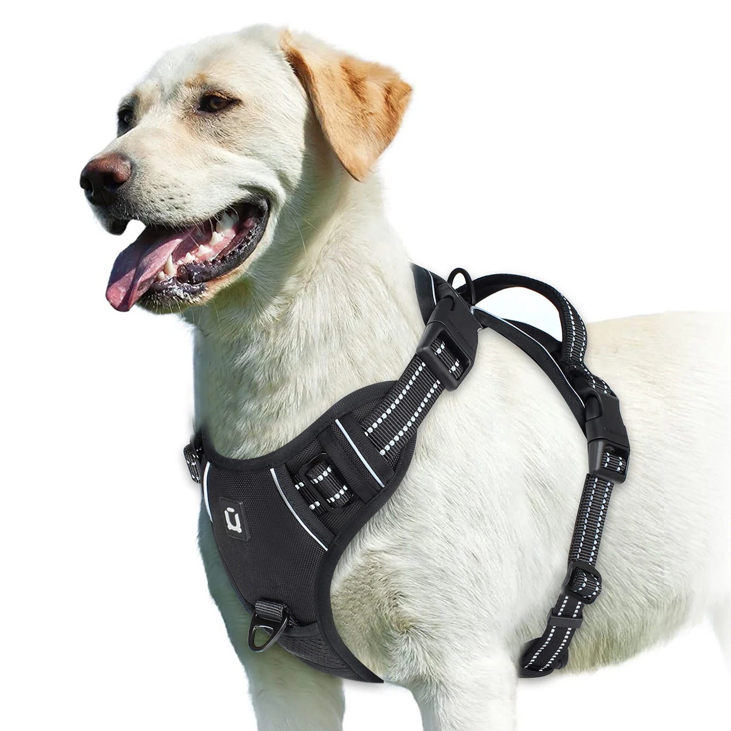 Adjustable Soft Padded No-Pull Dog Harness with Control Handle